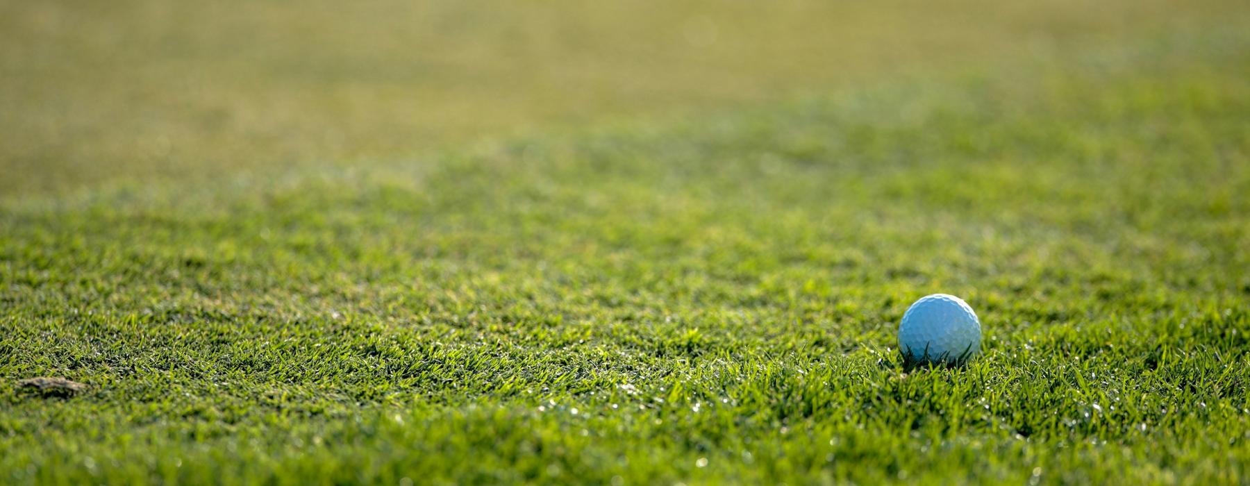 a golf ball on the grass