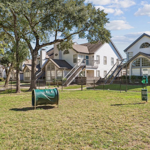 spacious, outdoor dog park